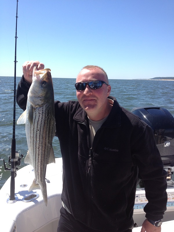 Short Striped Bass