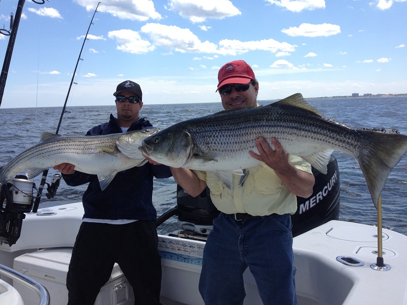 Striped Bass Fishing