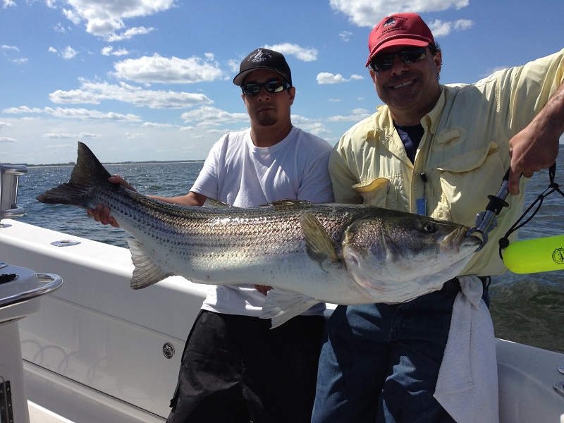 Trophy Striped Bass