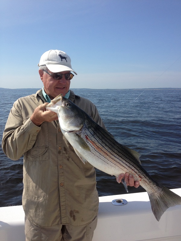 Striped Bass Fishing