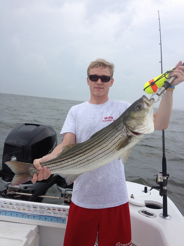 Striped Bass Fishing
