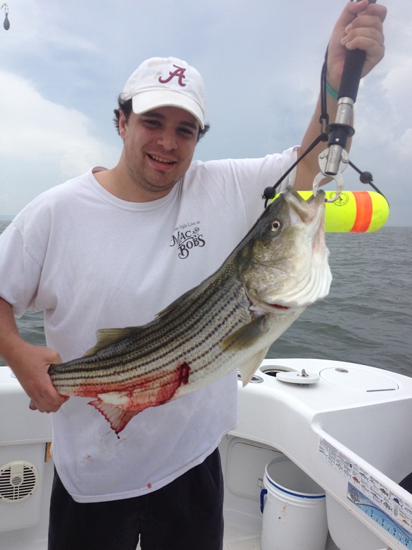 Striped Bass Fishing